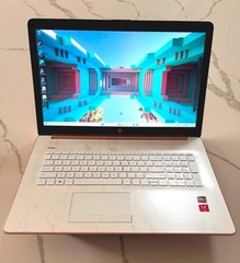 HP 17.3″ AMD Ryzen 5 3500U with Radeon 8 512GB NVMe+260 SDD 24GB MEM WIN11 TOUCH