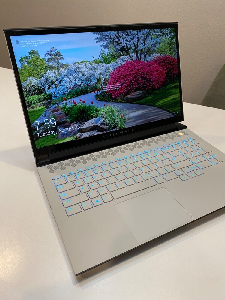 Alienware M17 R4 17.3" Intel Core i7-10870H 360Hz 2.2GHz 16GB 1TB SSD RTX 3070