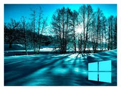 Dell 7490 Laptop Windows 11 Pro 16GB RAM FAST 500GB SSD + 5 YEAR WARRANTY