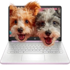 2025 HP 14 Student Laptop,Intel 4-Core N150,16GB 384GB(128GB UFS+256GB MSD)