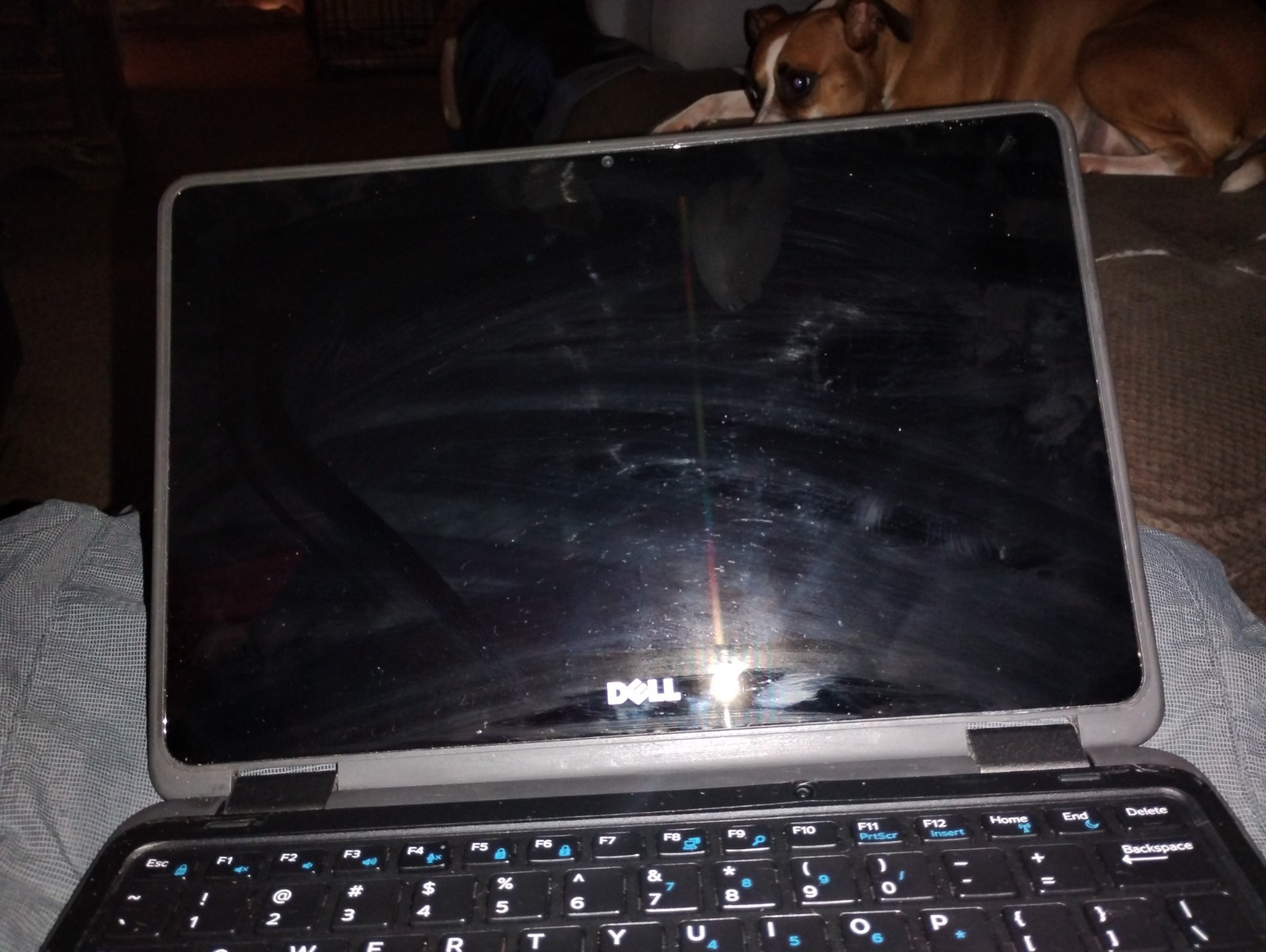 Dell Chromebook 11 P22T (11.6", Intel Celeron N2840 2.16GHz, 4GB, 16GB SSD) gallery