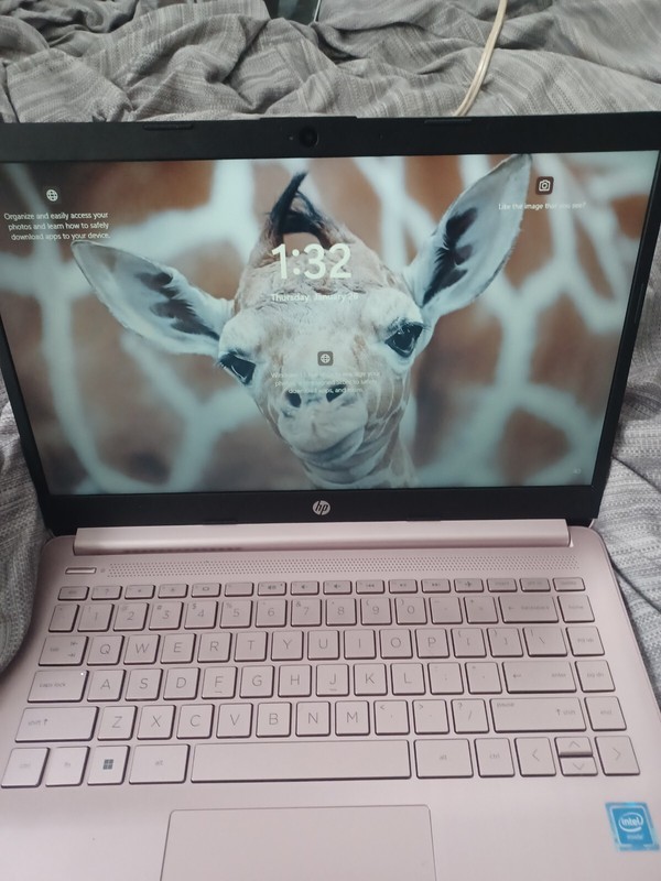 HP Stream 14-cb172wm 14" (64 GB, Intel Celeron N4000, 1.10 GHz, 4 GB) Laptop... gallery