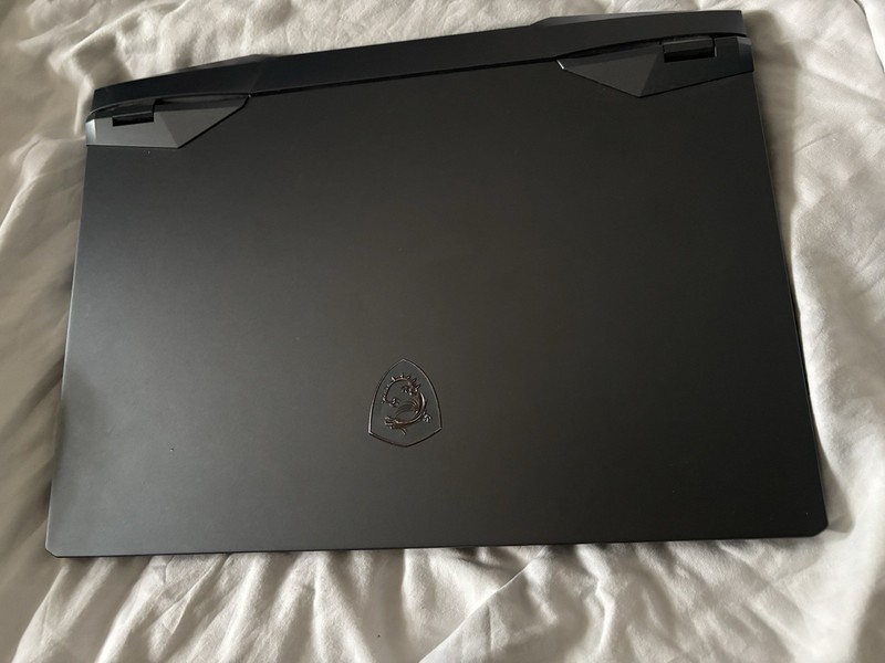 MSI GE66 Raider 10SFS-670 15.6" (1TB SSD, Intel Core i7-10750H, 2.6GHz, 32GB... gallery