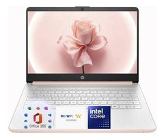 HP 14 Rose Gold Laptop with Office 365 Copilot AI Intel 4GB RAM 64 GB SSD