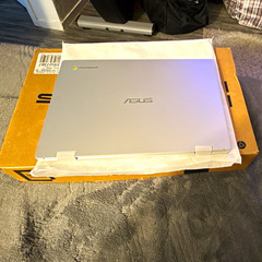 ASUS CX1400CNA-DS Chromebook 14in Celeron N 4GB 64GB eMMC Silver+Chgr