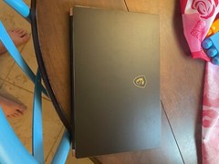 MSI GS75 Stealth 17.3 inch (1 TB, Intel Core i7 9th Gen., 2.60 GHz, 16 GB)…