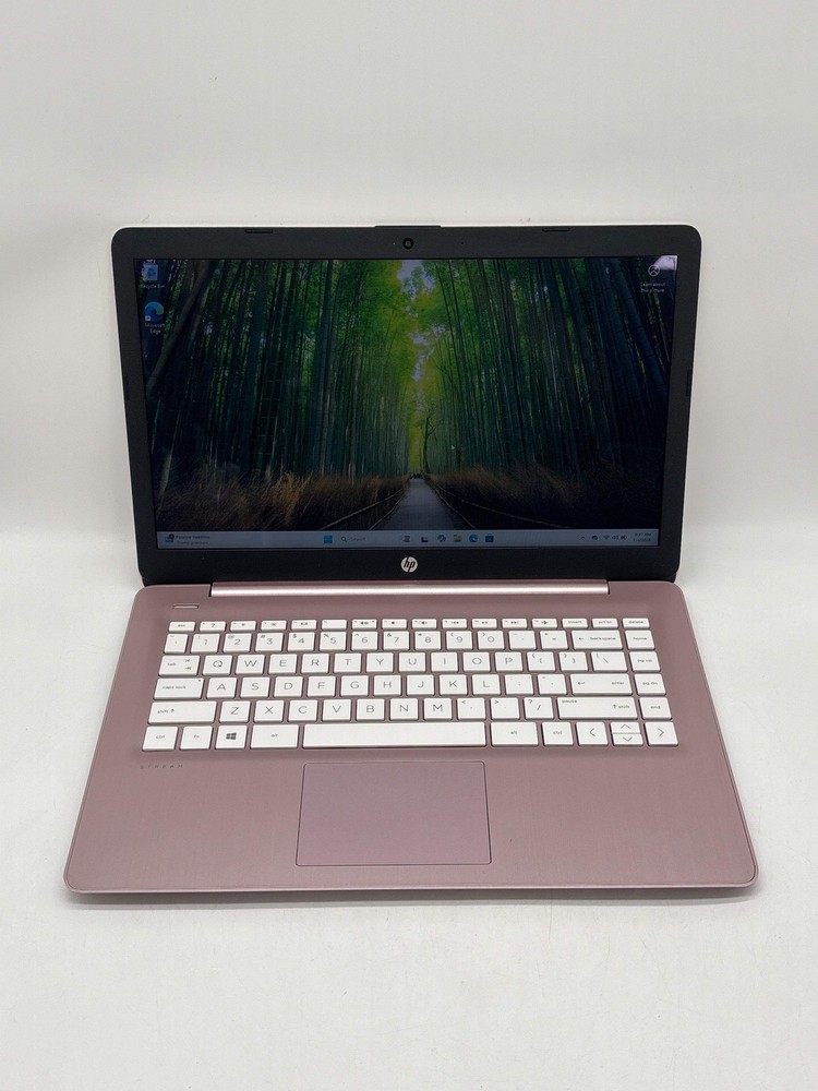 HP 14-ds0120nr AMD Radeon A4-9120e 4GB RAM 64GB SSD - Bad SSD