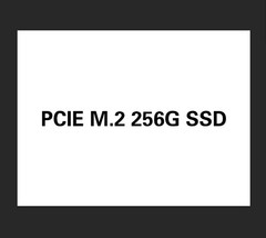 1000pcs PCIE M.2 256G SSD 2280