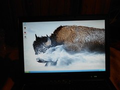 Dell Latitude D630 Windows XP Professional SP3 laptop