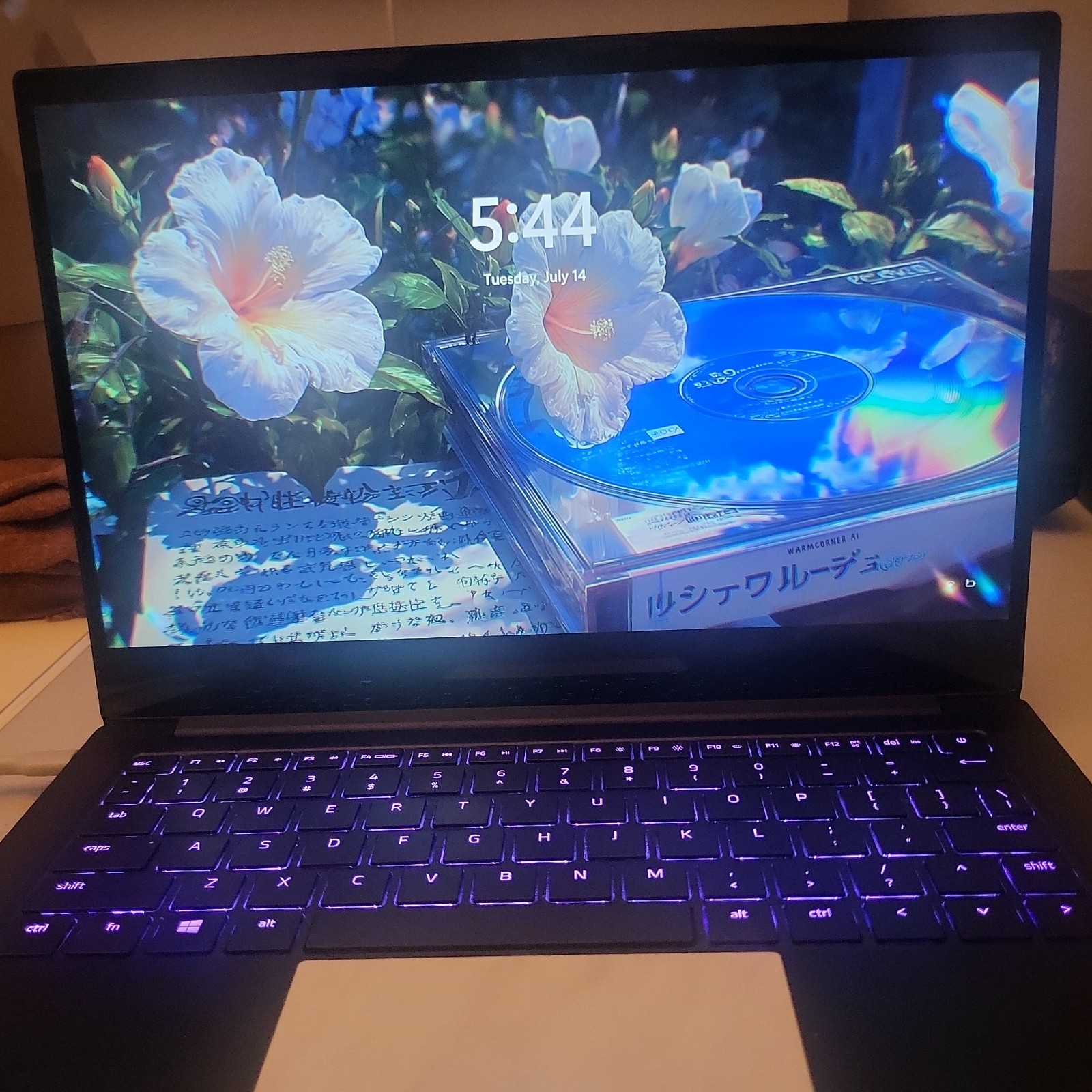 Razer Blade Stealth 13 Mx150 i7 8th Gen 4k Touchscreen gallery