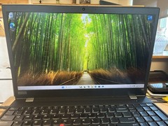 Lenovo ThinkPad T15 Gen 1, i5-10310U vPro 1.7GHz, 15.6in FHD, 8GB RAM, 256GB SSD