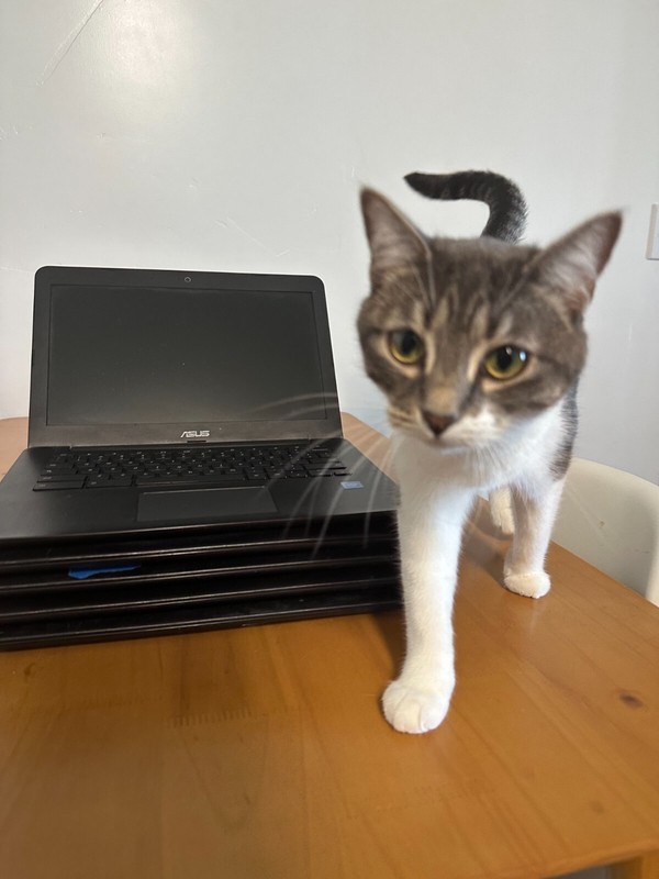ASUS Chromebook C300M Notebook PC gallery