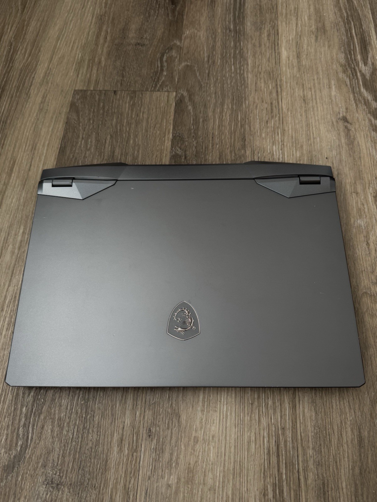 MSI GE66 Raider 10SFS-670 15.6" - Gaming Laptop gallery