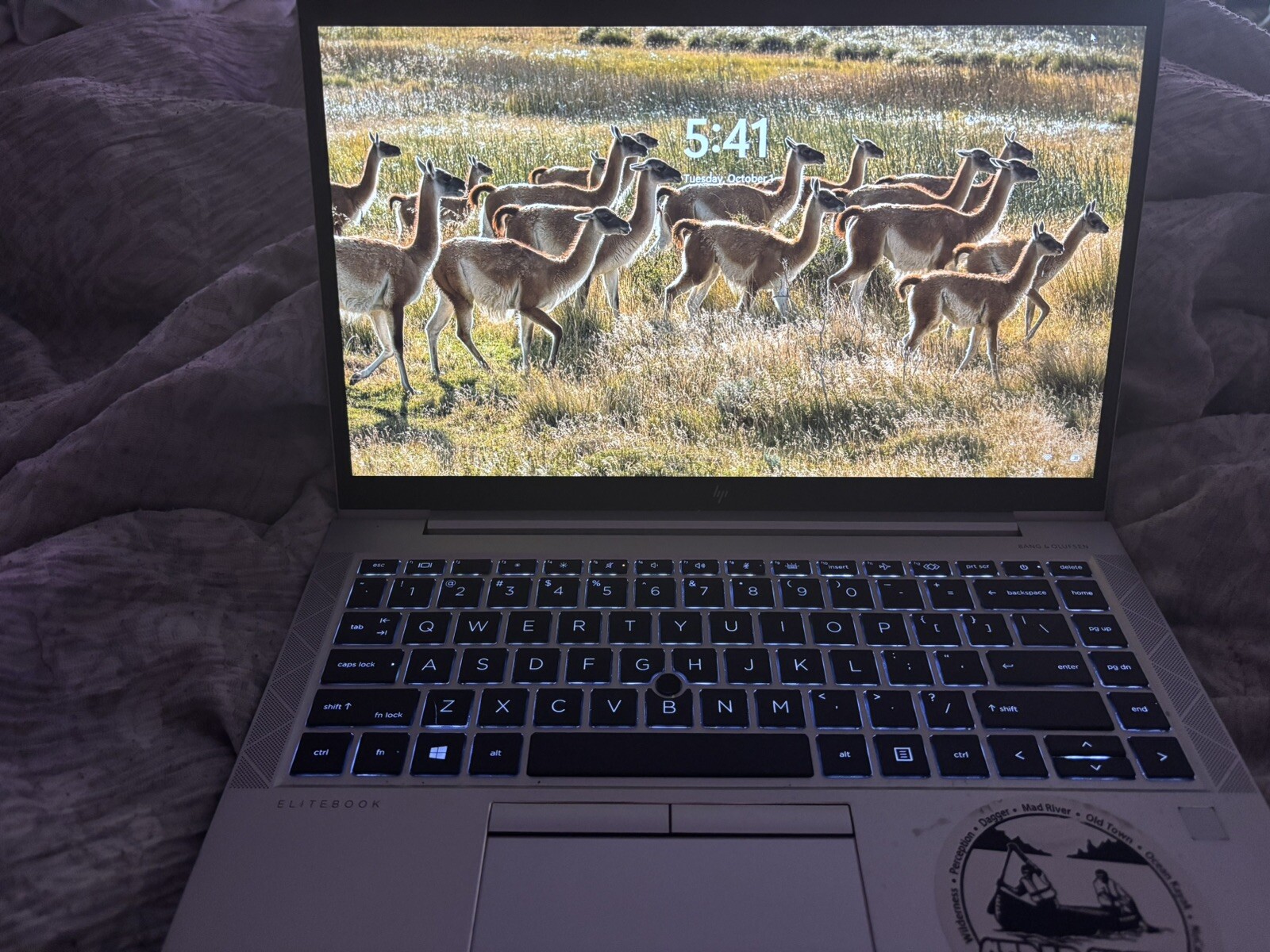 HP EliteBook 845 G7 14'' (512GB SSD AMD Ryzen 5 Pro 4650U 2.1GHz 16GB RAM)... gallery