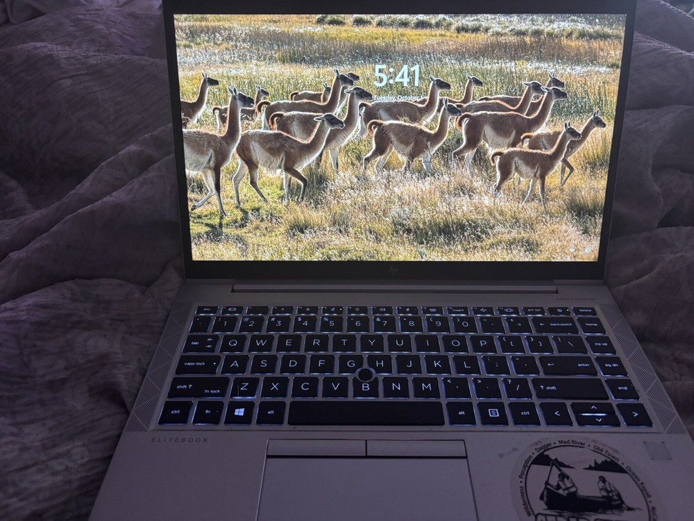 HP EliteBook 845 G7 14'' (512GB SSD AMD Ryzen 5 Pro 4650U 2.1GHz 16GB RAM)...