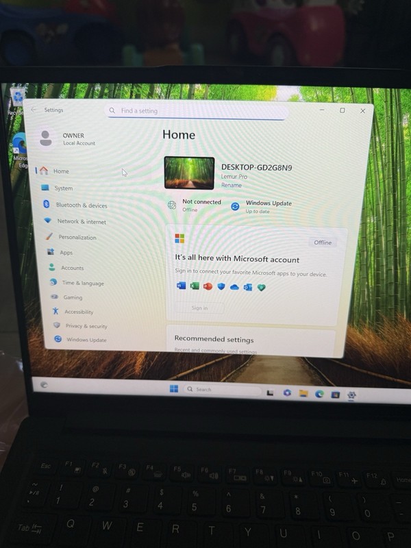 System76 Lemur Pro (lemp13), Intel Core Ultra 7 155U, 54GB RAM, 500GB Windows gallery