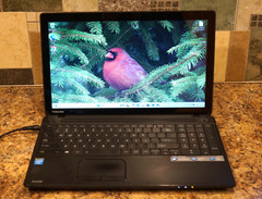 24H2 Edition WIN 11PRO Touchscreen Toshiba C55T-A5123@2.13GHz,8GB RAM 500GB HDD