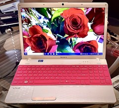 SONY VAIO