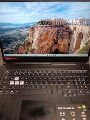 ASUS TUF GAMING A17 (P17030793)