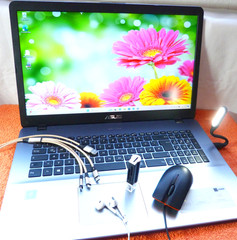 Asus F705 Vivo UltraBook 17 inch HDPLUS l 512GB SSD Windows 11 l 8GB RAM…