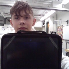 chromebook laptop for sale (totally not school chromebook)