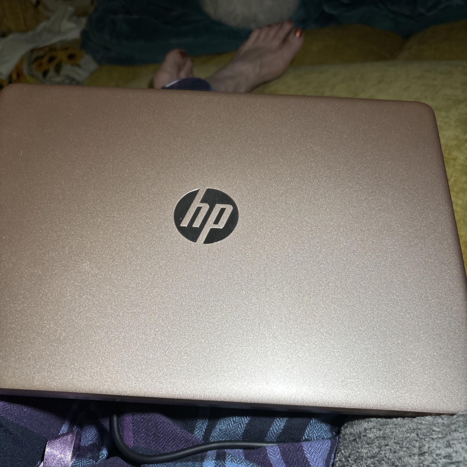 HP Laptop 14-dq6015dx 14" Intel N150 4GB RAM 128GB UFS Windows 11 Home gallery