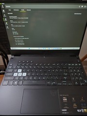 ASUS TUF Dash F15 Gaming Laptop i7-12650H RTX3060 32GB 1.5TB 144Hz Bundle
