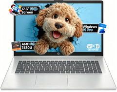 HP 17.3 ” Laptop for Business AMD Ryzen 5 7430U Up to 64GB RAM 2TB SSD Win11P